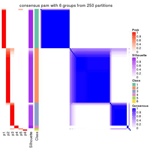 plot of chunk tab-MAD-pam-consensus-heatmap-5