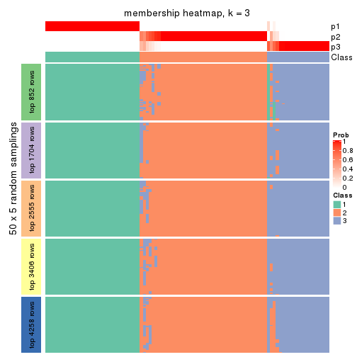 plot of chunk tab-MAD-pam-membership-heatmap-2