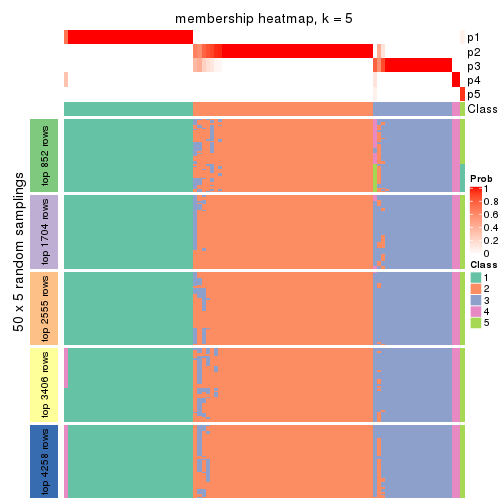 plot of chunk tab-MAD-pam-membership-heatmap-4