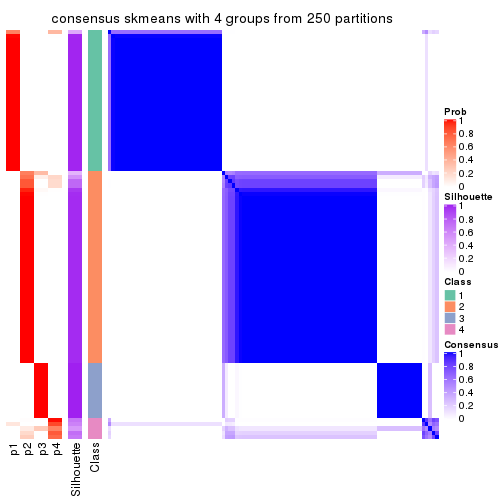 plot of chunk tab-MAD-skmeans-consensus-heatmap-3