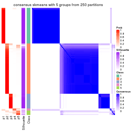 plot of chunk tab-MAD-skmeans-consensus-heatmap-4