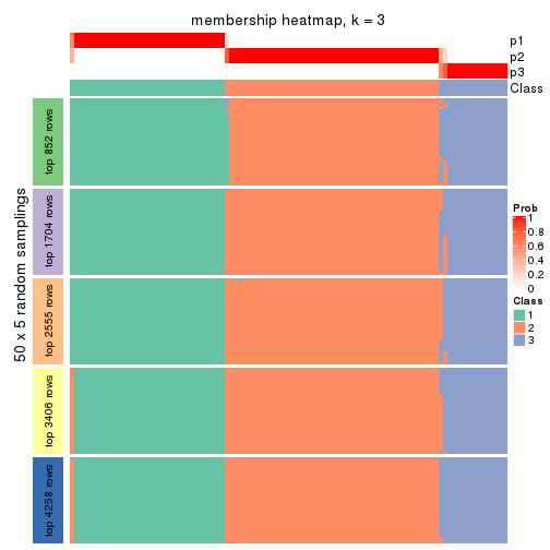 plot of chunk tab-MAD-skmeans-membership-heatmap-2