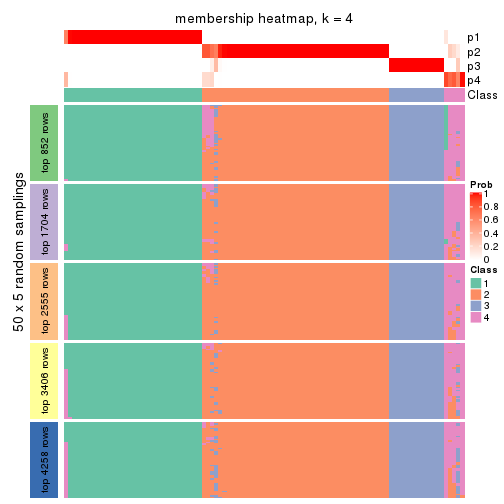 plot of chunk tab-MAD-skmeans-membership-heatmap-3