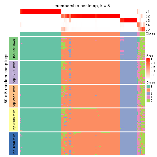 plot of chunk tab-MAD-skmeans-membership-heatmap-4