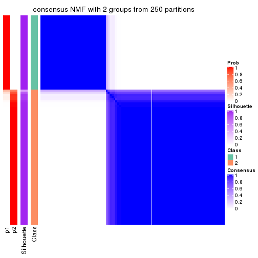 plot of chunk tab-SD-NMF-consensus-heatmap-1