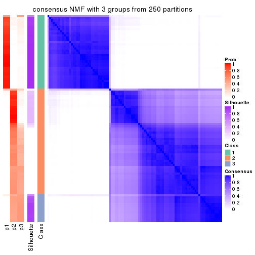 plot of chunk tab-SD-NMF-consensus-heatmap-2