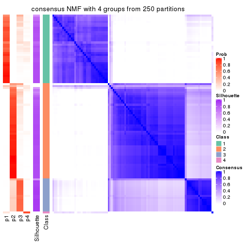 plot of chunk tab-SD-NMF-consensus-heatmap-3