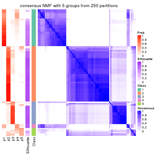 plot of chunk tab-SD-NMF-consensus-heatmap-4