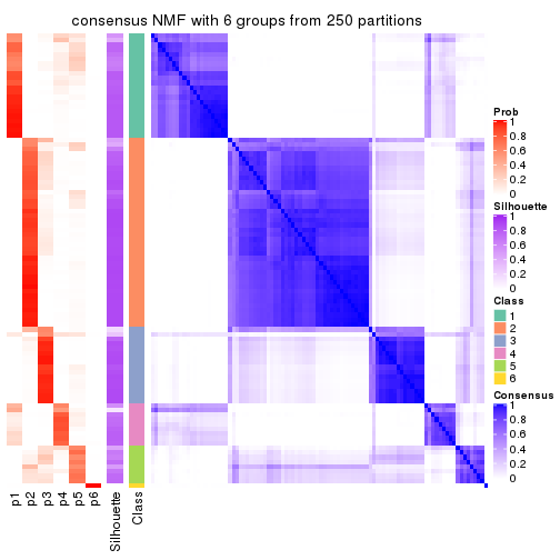 plot of chunk tab-SD-NMF-consensus-heatmap-5