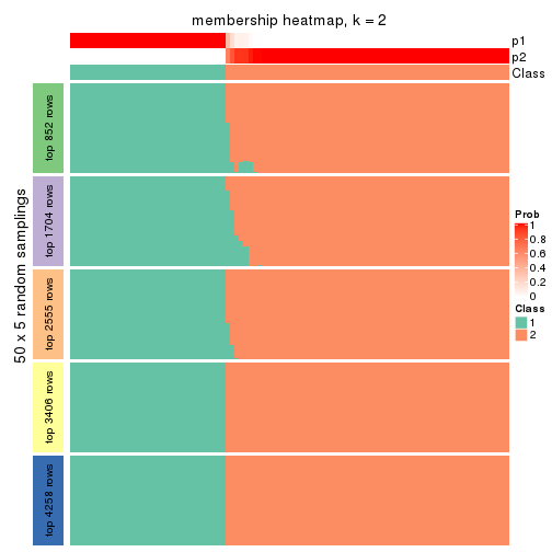 plot of chunk tab-SD-NMF-membership-heatmap-1