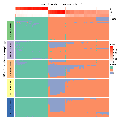 plot of chunk tab-SD-NMF-membership-heatmap-2