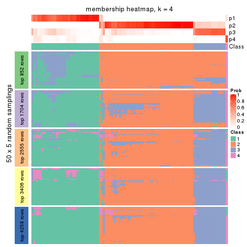 plot of chunk tab-SD-NMF-membership-heatmap-3