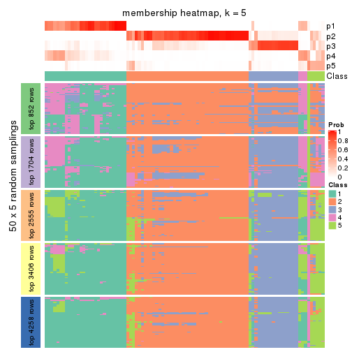 plot of chunk tab-SD-NMF-membership-heatmap-4