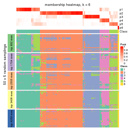 plot of chunk tab-SD-NMF-membership-heatmap-5