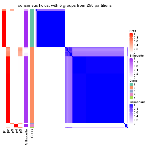 plot of chunk tab-SD-hclust-consensus-heatmap-4