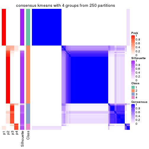 plot of chunk tab-SD-kmeans-consensus-heatmap-3