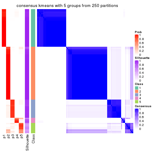 plot of chunk tab-SD-kmeans-consensus-heatmap-4