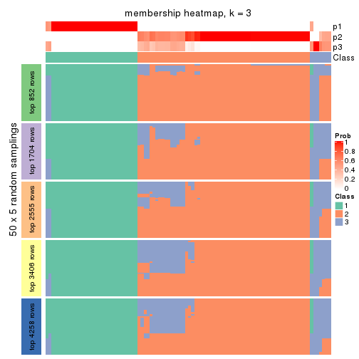 plot of chunk tab-SD-kmeans-membership-heatmap-2