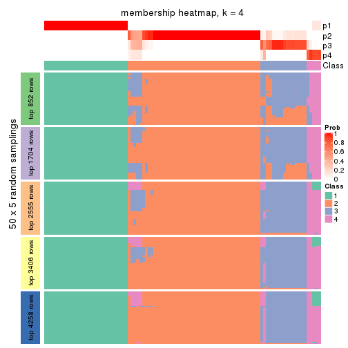 plot of chunk tab-SD-kmeans-membership-heatmap-3