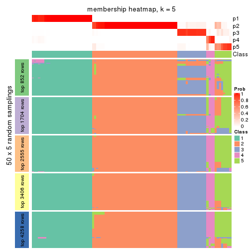 plot of chunk tab-SD-kmeans-membership-heatmap-4