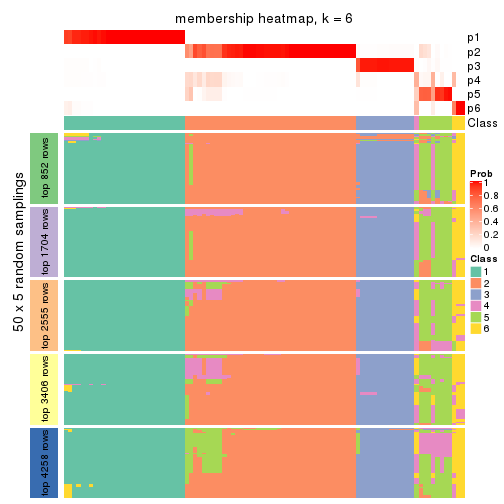 plot of chunk tab-SD-kmeans-membership-heatmap-5