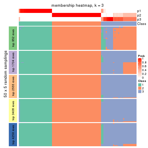 plot of chunk tab-SD-mclust-membership-heatmap-2