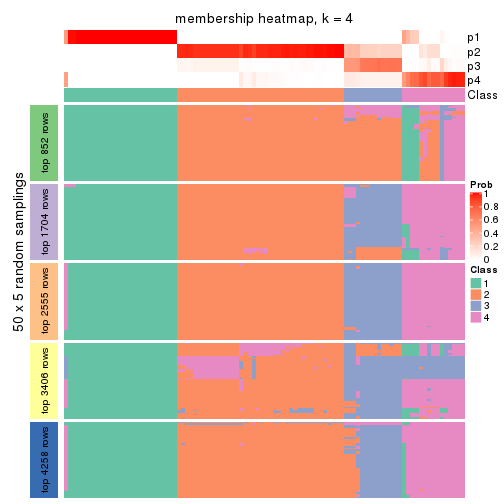 plot of chunk tab-SD-mclust-membership-heatmap-3