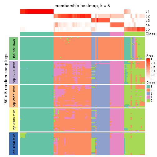 plot of chunk tab-SD-mclust-membership-heatmap-4