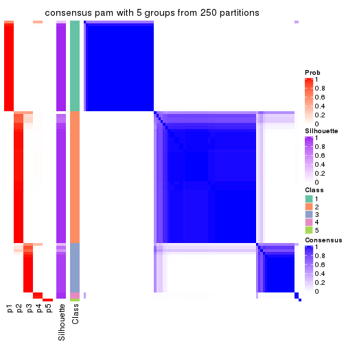 plot of chunk tab-SD-pam-consensus-heatmap-4