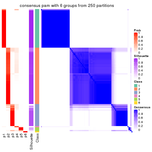 plot of chunk tab-SD-pam-consensus-heatmap-5