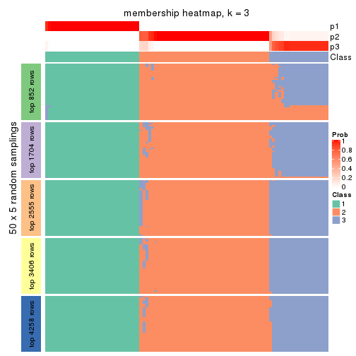 plot of chunk tab-SD-pam-membership-heatmap-2