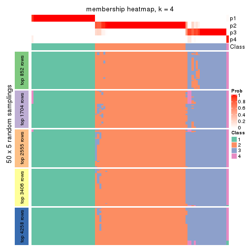 plot of chunk tab-SD-pam-membership-heatmap-3