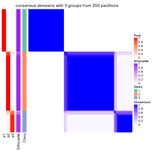 plot of chunk tab-SD-skmeans-consensus-heatmap-2