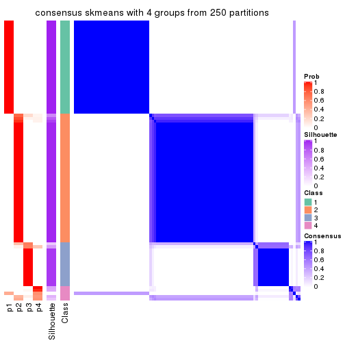 plot of chunk tab-SD-skmeans-consensus-heatmap-3