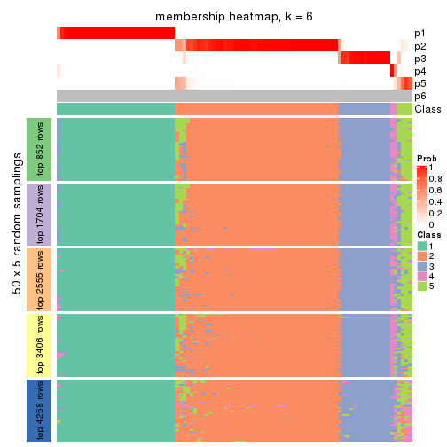 plot of chunk tab-SD-skmeans-membership-heatmap-5