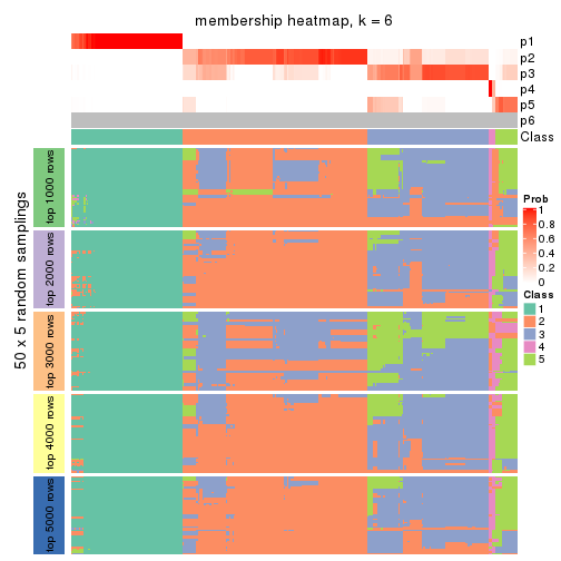 plot of chunk tab-ATC-kmeans-membership-heatmap-5