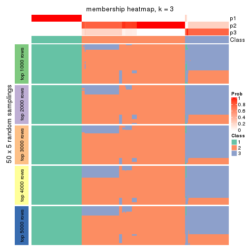 plot of chunk tab-CV-kmeans-membership-heatmap-2