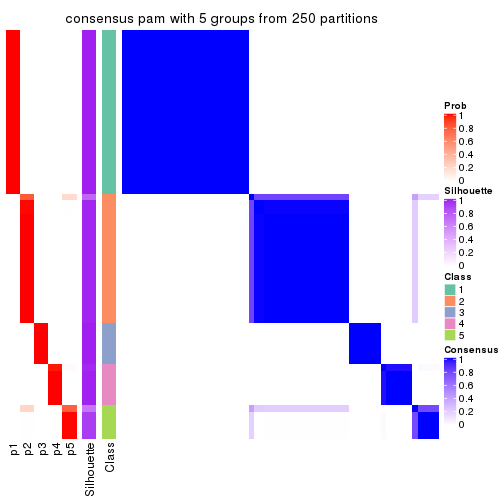 plot of chunk tab-CV-pam-consensus-heatmap-4