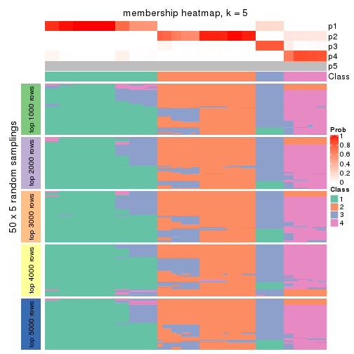 plot of chunk tab-MAD-kmeans-membership-heatmap-4