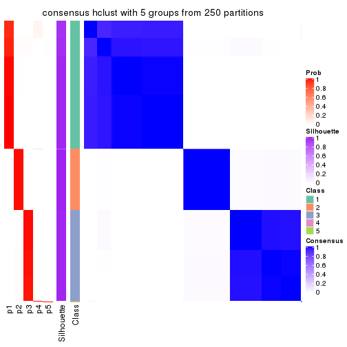 plot of chunk tab-MAD-hclust-consensus-heatmap-4