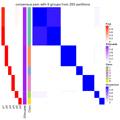 plot of chunk tab-SD-pam-consensus-heatmap-5