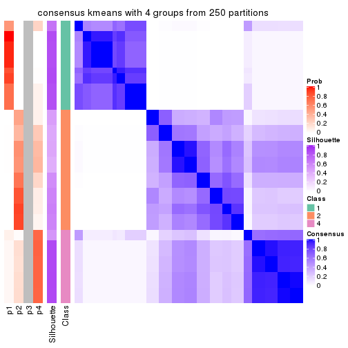 plot of chunk tab-CV-kmeans-consensus-heatmap-3
