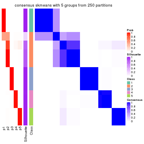 plot of chunk tab-MAD-skmeans-consensus-heatmap-4