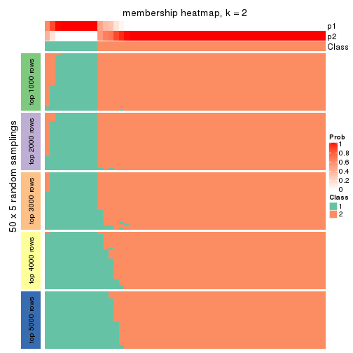 plot of chunk tab-ATC-NMF-membership-heatmap-1