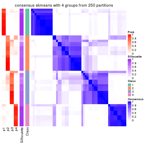 plot of chunk tab-CV-skmeans-consensus-heatmap-3