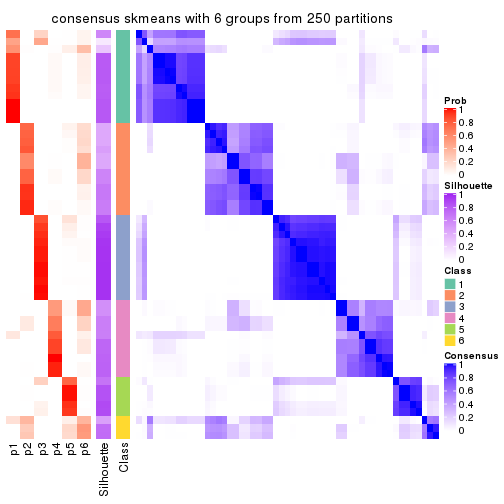 plot of chunk tab-SD-skmeans-consensus-heatmap-5