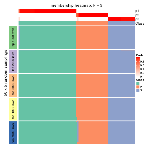 plot of chunk tab-MAD-skmeans-membership-heatmap-2