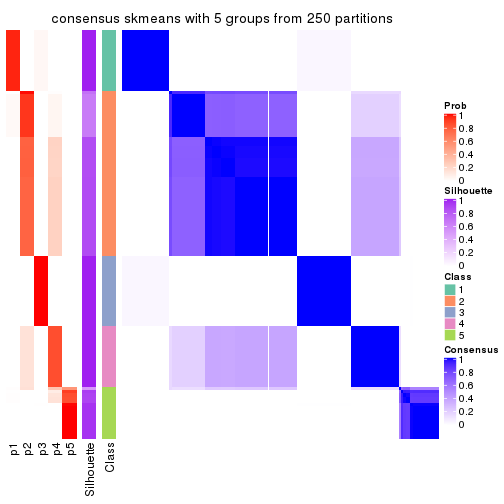 plot of chunk tab-ATC-skmeans-consensus-heatmap-4