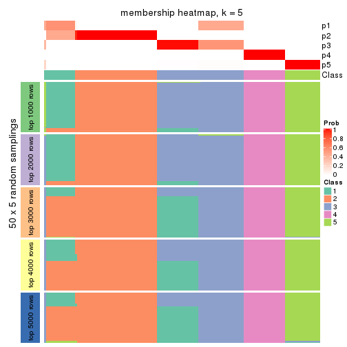 plot of chunk tab-MAD-skmeans-membership-heatmap-4