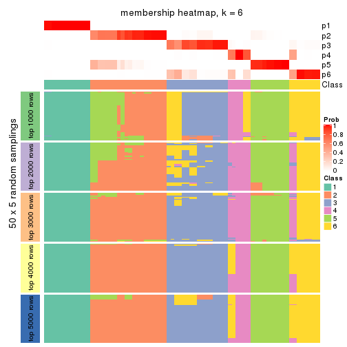 plot of chunk tab-CV-mclust-membership-heatmap-5